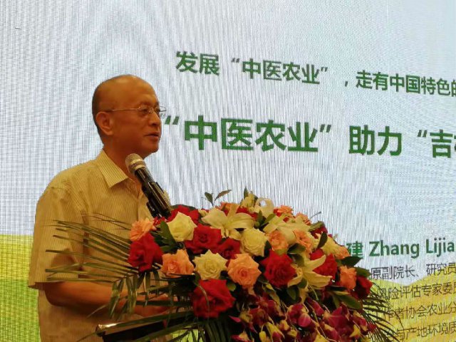 孙建谈：中医农业与健康美食和美食地标